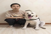 西安申领的导盲犬在天津办不了狗证 属地壁垒引发难题