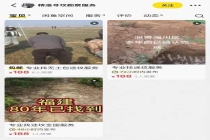 00后小伙做寻坟师帮人找老坟 连接家族记忆的新职业