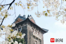 本科扩招300人！南京大学不断壮大新工科主阵地