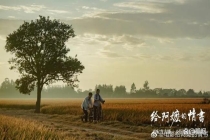 王晶称给阿嬷的情书模式不可复制 票房神话难再续