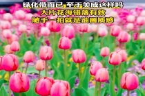 温馨提示：打卡美景时千万别站马路中间，安全第一！