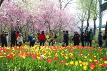 假期首日北京市属公园纳客超58万人次 春日文化盛宴开启