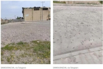 美军被爆用了新型导弹 袭击致21人死亡上百伤