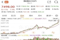 存储背后会藏着韩国国运吗 存储芯片成国家级杠杆