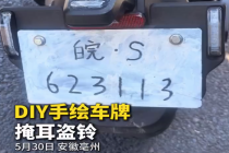 掩耳盗铃！男子DIY手绘车牌上路被罚