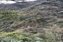 父亲带6岁儿子爬山被困11小时 野路探险险象环生