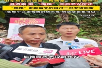 梅姨曾经的人口贩卖中转站 3名陌生女孩线索曝光