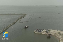 渤海湾遇强对流 水产养殖企业布防 提前预警确保安全