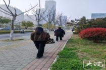 合肥街头现“早穿棉袄午穿纱”景象 气温骤升市民换装忙