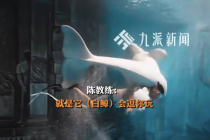 男子体验与白鲸同游 被"追着咬" 俱乐部回应：不会太用力，为避免出现意外，建议不要触碰追赶