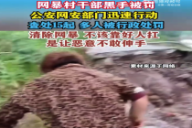 网暴村干部黑手被罚，查处15起，多人被行政处罚