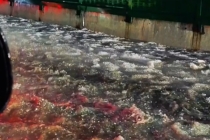 贵阳市多地突降冰雹 “冰流成河”景象壮观