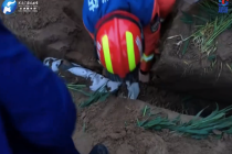 同一排水渠连续两天“卡人”！消防紧急提醒：好奇心别用错地方