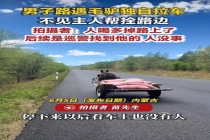 男子在国道遇毛驴独自拉车 醉汉掉车引关注