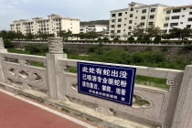 甘肃一河滩有蛇群出没 官方采取措施捕蛇并驱散