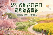 山东济宁发布赏花地图 春光灿烂踏青时