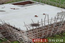 七旬老人停工半年只为守护一窝喜鹊 生态觉悟获赞