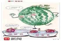 莫让泡药杨梅连累了西瓜 谣言需理性厘清