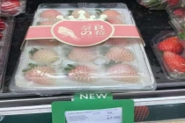 山东女孩种草莓在迪拜卖268一斤 创富之路跨越万里