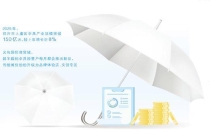 一把雨伞出口欧洲市场售价达2000元 创意与品质并重