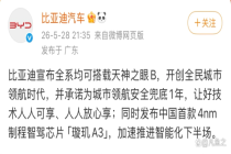 王传福说敢兜底才是真安全 智驾芯片引领未来