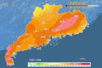 如何科学应对“回南天” 中医智慧助你祛湿保健