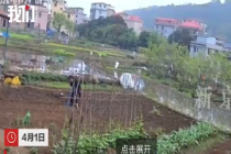 监拍一男子将女子按倒在田地殴打，双方均称对方先挑衅，警方介入调查