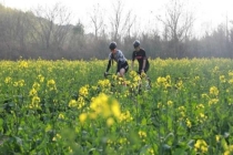 多地掀起6天“超级假期”出游热潮 春假叠加清明激发旅游热