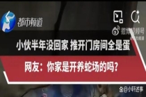 男子离家半年回家发现满屋蛇蛋 空置房屋惊魂记
