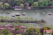 清明也分“早晚”？专家回应 历法现象解析