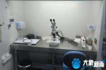 记者暗访助孕实验室遭拖拽 非法机构暴露真相