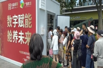 蘑菇方舱首次落户深圳 成新晋网红打卡点