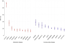 超 46 万样本锁定阿尔茨海默病最大风险源，关联约 93% 病例