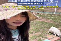 女生展示自己花四百块买的小羊有多粘人