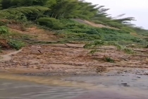 十面埋伏取景地茶山竹海闭园 暴雨引发塌方险情