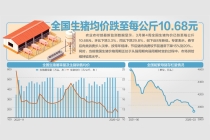 国家开展中央储备冻猪肉收储