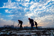 媒体：农民养老金该怎么涨 路径讨论持续中