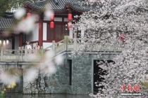 各地文旅colorwalk走起来了 色彩收藏春天