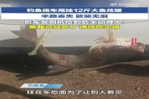 司机车尾挂鱼炫耀 半路被后车司机捡漏 大鱼不翼而飞引发乌龙