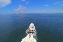 向海寻药迎变局 海洋生物医药冲刺千亿规模