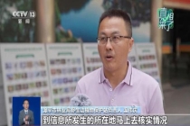 净网：拍到“野生华南虎”系谣言 照片系网上下载编辑发布