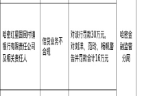 哈密红星国民村镇银行被罚30万，涉信贷业务不合规