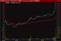标准股份尾盘直线拉升1分钟涨停 市场异动引关注