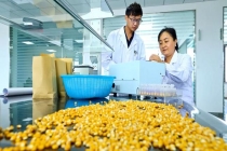 玉米胚芽粉被包装成抗衰神器 虚假宣传引质疑