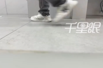 男子尾随偷窥女子如厕被拍下 物业：监控被他挪了拍不到脸