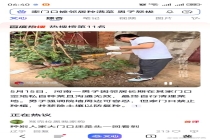 家门口被邻居种满菜 男子直接拔掉 边界之争引共鸣