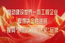 中国能建葛洲坝集团召开抽水蓄能业务核心竞争力专题会