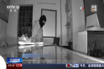 男子偷走百万黄金 留下半瓶可乐 警方10小时破案