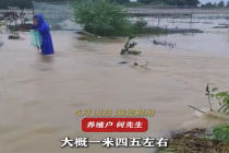 荆州暴雨冲走蛙塘9万斤蛙 损失200多万