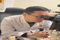 男孩与猫狗同住感染弓蛔虫近乎失明 宠物接触隐患大